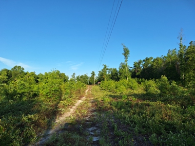10 Acres With Well & Septic, Homestead Potential--O'Brien, Fl - image 10