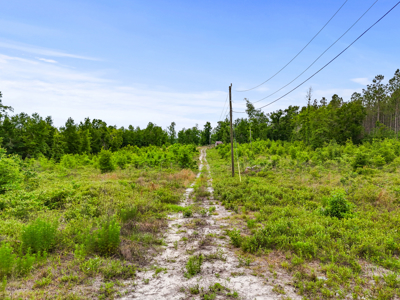 10 Acres With Well & Septic, Homestead Potential--O'Brien, Fl - image 19