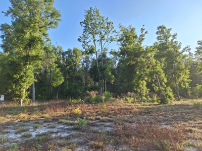 10 Acres With Well & Septic, Homestead Potential--O'Brien, Fl - image 8