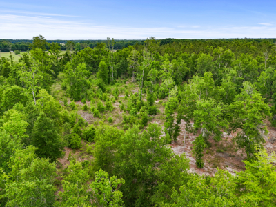10 Acres With Well & Septic, Homestead Potential--O'Brien, Fl - image 13