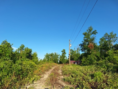 10 Acres With Well & Septic, Homestead Potential--O'Brien, Fl - image 9
