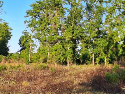 10 Acres With Well & Septic, Homestead Potential--O'Brien, Fl - image 2