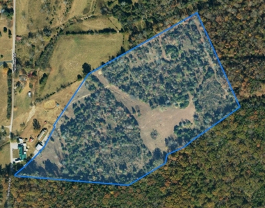 Land for sale near Huntsville Al, Prospect TN. - image 12