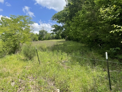 Land for sale near Huntsville Al, Prospect TN. - image 11