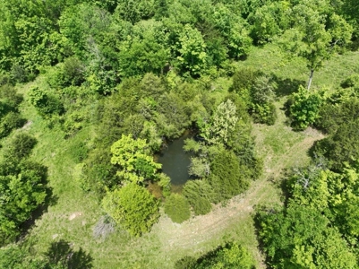 Land for sale near Huntsville Al, Prospect TN. - image 8