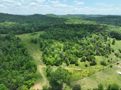 Land for sale near Huntsville Al, Prospect TN. - image 3