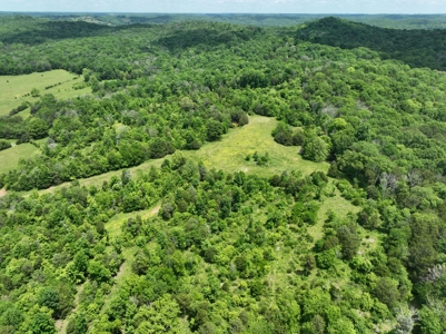 Land for sale near Huntsville Al, Prospect TN. - image 2