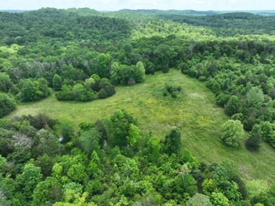 Land for sale near Huntsville Al, Prospect TN. - image 6
