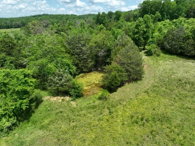 Land for sale near Huntsville Al, Prospect TN. - image 9