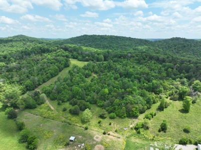 Land for sale near Huntsville Al, Prospect TN. - image 5