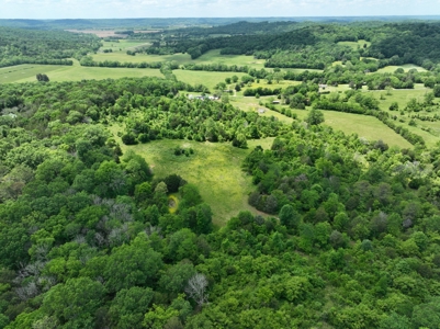Land for sale near Huntsville Al, Prospect TN. - image 1