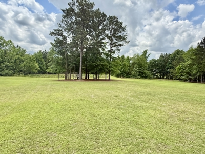 Custom Built Home on 1 acre lot Dothan Alabama - image 33