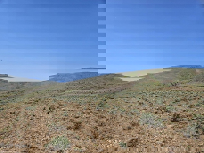 39.91± Acres of Hunting Land For Sale Yakima Washington - image 2