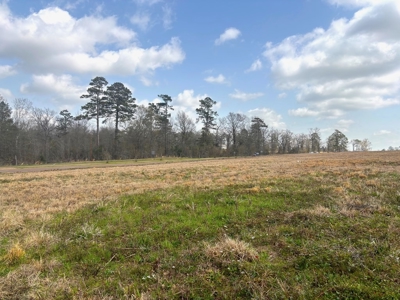 16 Acres Commercial Land for Sale in McComb MS - image 3