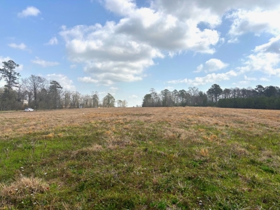 16 Acres Commercial Land for Sale in McComb MS - image 2