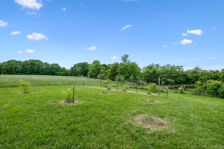 Country Home for Sale in Lewis County, Tennessee - image 42