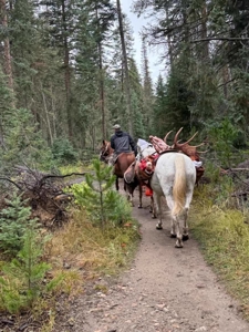 North Colorado Outfitting Business for sale (NO DEEDED PROPERTY) - image 17