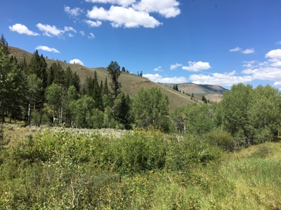 North Colorado Outfitting Business for sale (NO DEEDED PROPERTY) - image 19