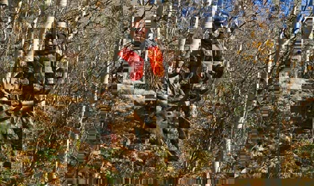 North Colorado Outfitting Business for sale (NO DEEDED PROPERTY) - image 23