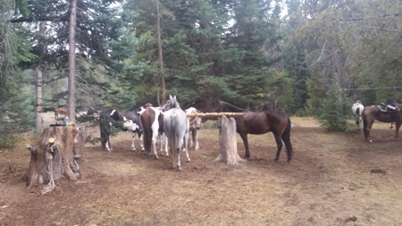 North Colorado Outfitting Business for sale (NO DEEDED PROPERTY) - image 3