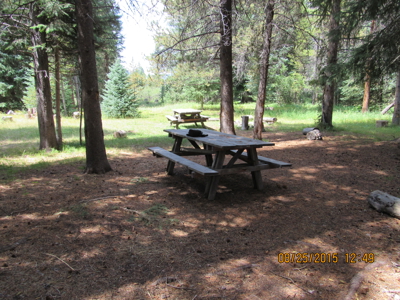 North Colorado Outfitting Business for sale (NO DEEDED PROPERTY) - image 2