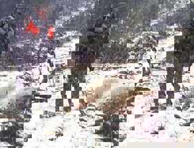 North Colorado Outfitting Business for sale (NO DEEDED PROPERTY) - image 25