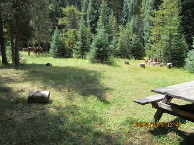 North Colorado Outfitting Business for sale (NO DEEDED PROPERTY) - image 1