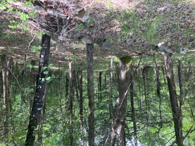 Recreational Property, Hunt, Fish, Hike, Water sports, RV Life - image 3