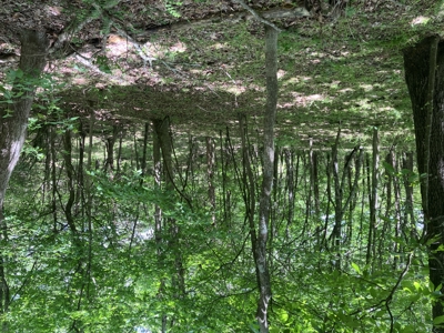 Recreational Property, Hunt, Fish, Hike, Water sports, RV Life - image 35