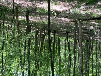 Recreational Property, Hunt, Fish, Hike, Water sports, RV Life - image 25