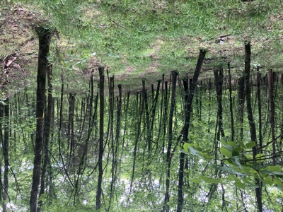 Recreational Property, Hunt, Fish, Hike, Water sports, RV Life - image 34