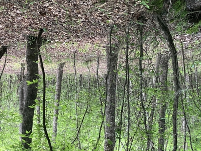 Recreational Property, Hunt, Fish, Hike, Water sports, RV Life - image 30