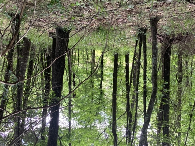 Recreational Property, Hunt, Fish, Hike, Water sports, RV Life - image 32