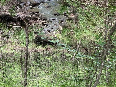 Recreational Property, Hunt, Fish, Hike, Water sports, RV Life - image 29