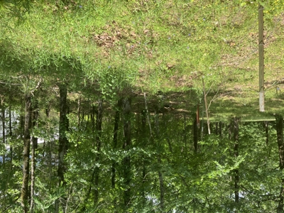 Recreational Property, Hunt, Fish, Hike, Water sports, RV Life - image 6