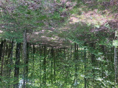 Recreational Property, Hunt, Fish, Hike, Water sports, RV Life - image 2