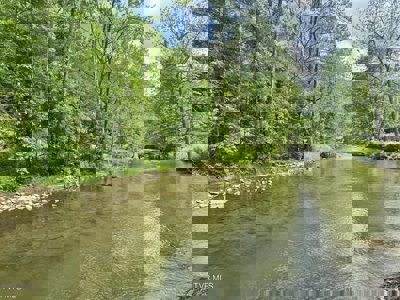 33.5 Acres for sale in Unicoi County, Tennessee - image 17