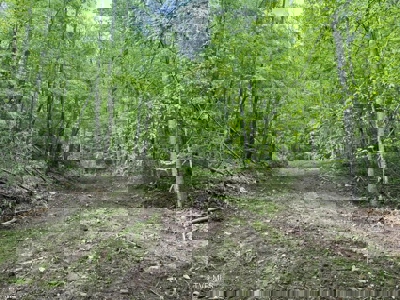 33.5 Acres for sale in Unicoi County, Tennessee - image 1