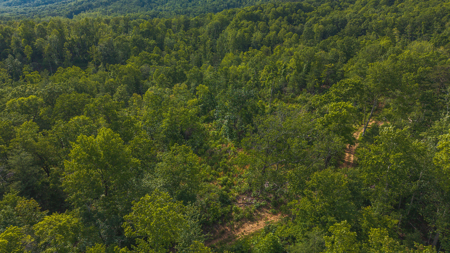 Wooded Tract for Sale in Woolwine VA - image 18