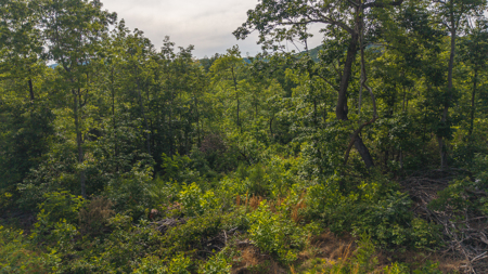 Wooded Tract for Sale in Woolwine VA - image 20