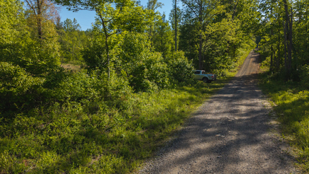 Wooded Tract for Sale in Woolwine VA - image 3