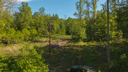 Wooded Tract for Sale in Woolwine VA - image 4