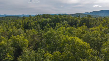 Wooded Tract for Sale in Woolwine VA - image 17