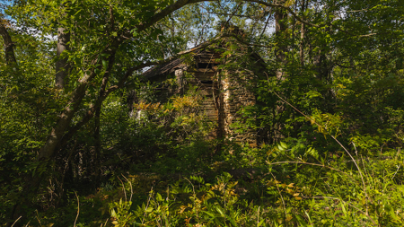 Wooded Tract for Sale in Woolwine VA - image 8