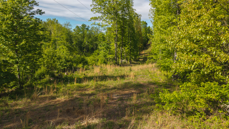 Wooded Tract for Sale in Woolwine VA - image 1