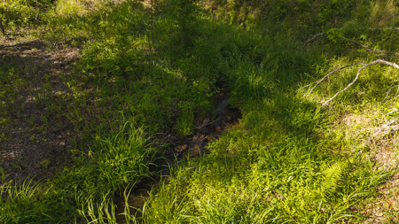 Wooded Tract for Sale in Woolwine VA - image 11