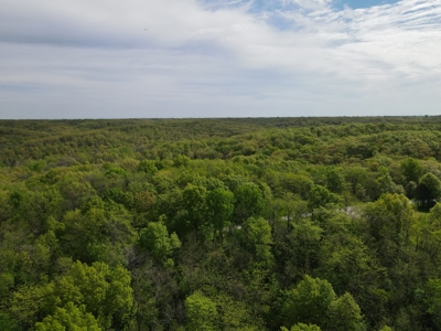 Charming Agricultural Haven in North West Schuyler County, MO - image 9