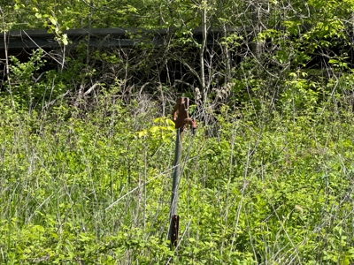 Charming Agricultural Haven in North West Schuyler County, MO - image 49
