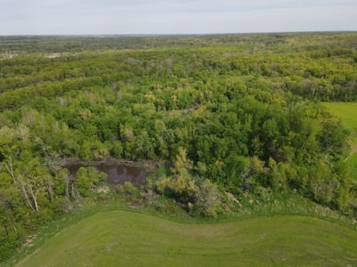 Charming Agricultural Haven in North West Schuyler County, MO - image 22