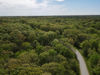 Charming Agricultural Haven in North West Schuyler County, MO - image 6